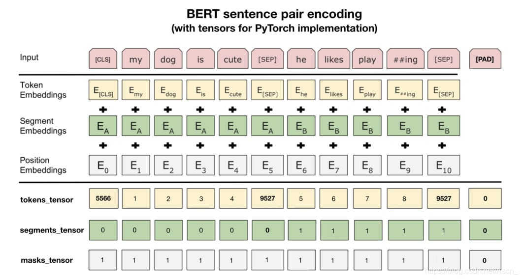 加入 PyTorch 使用细节的 BERT 成对句子编码示意图