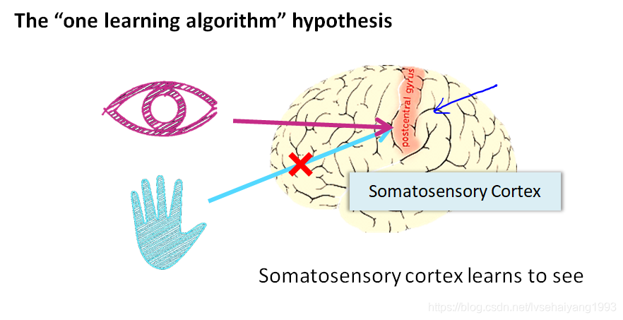 fig5