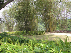 P1300010.JPG
