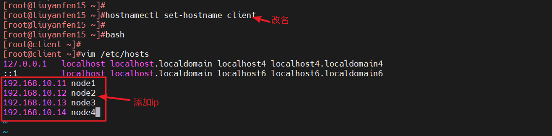 image-20240409161756739