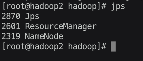 hadoop2