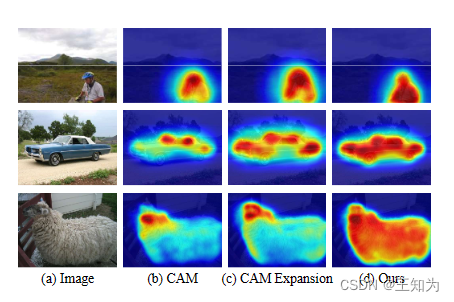 Spatial Structure Constraints for Weakly Supervised Semantic ...