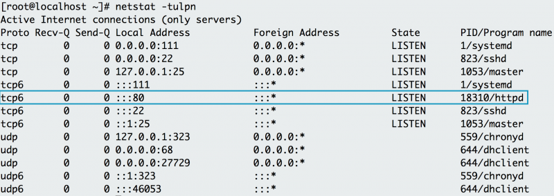 netstat verifies that Apache is running on port 80