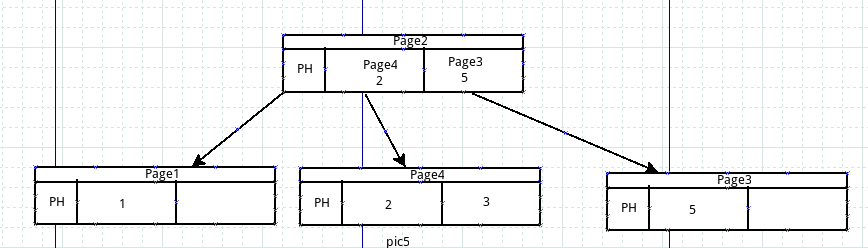pic5.png