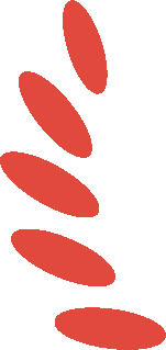 434f56116f22167db621e16b93e89570.png
