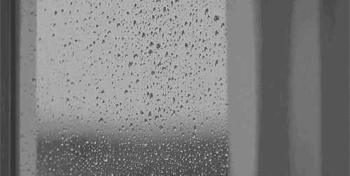 24cc5e9fa8ca019097ea1a55b7044bdb.gif
