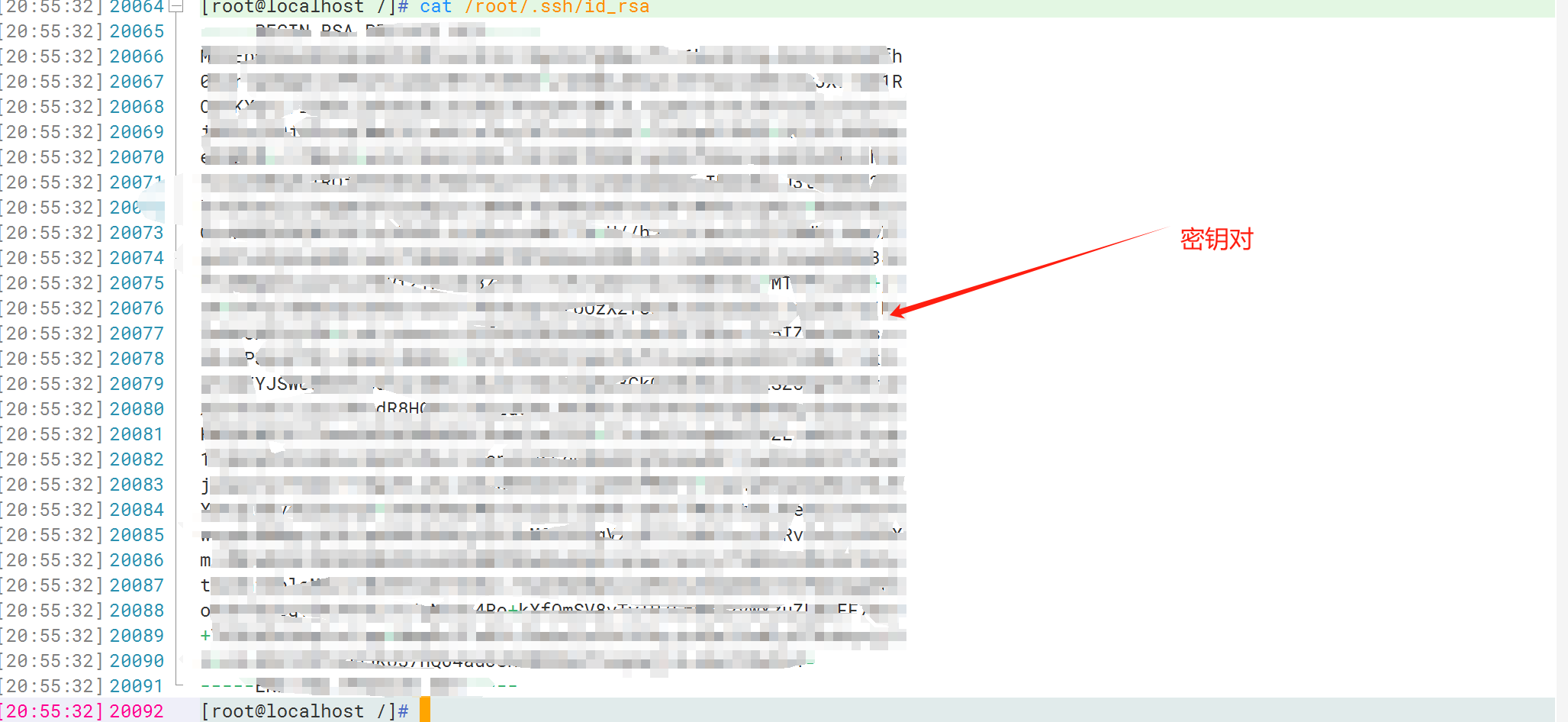 image-20240109205813316