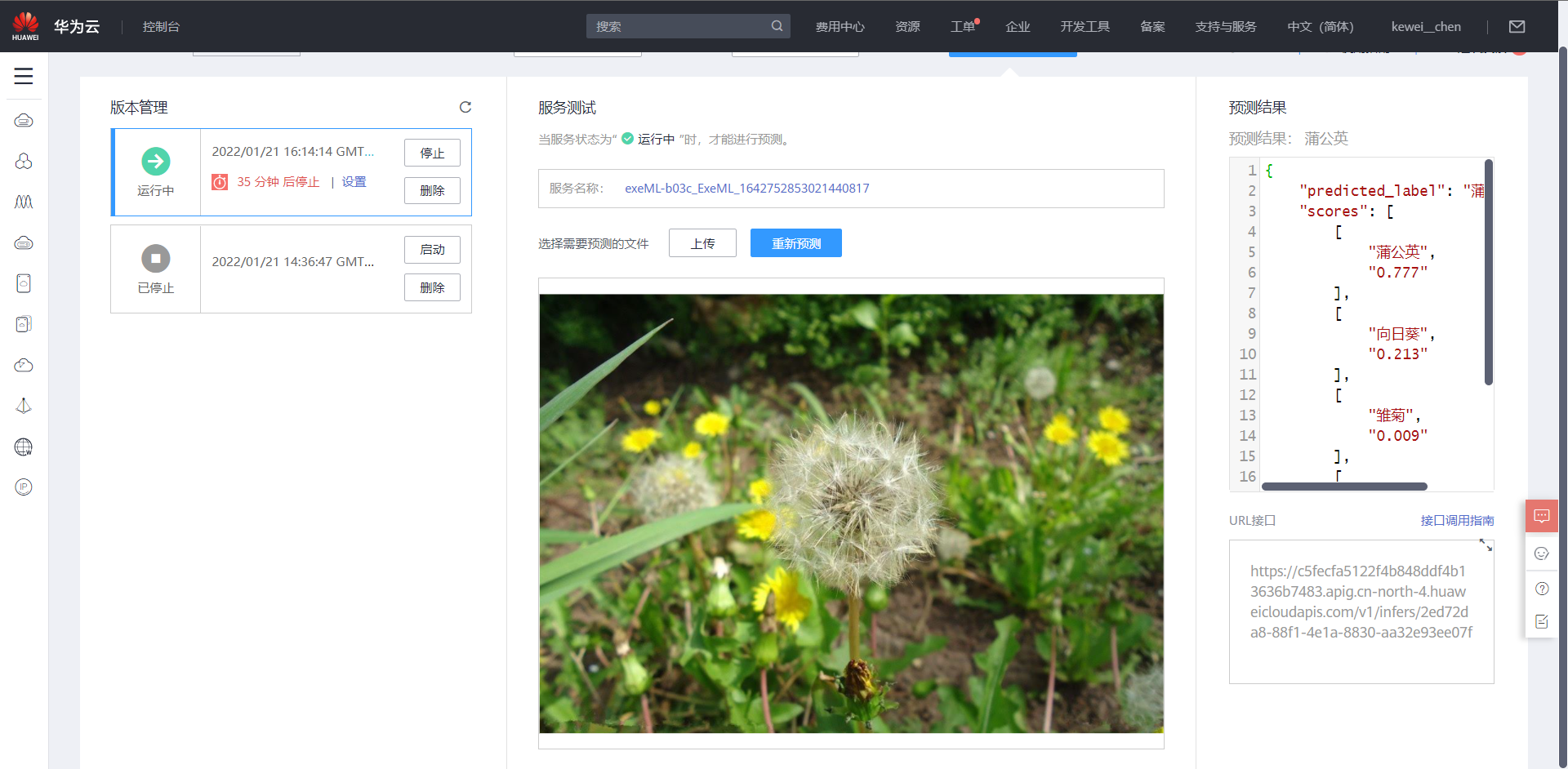 image-20220121164022065