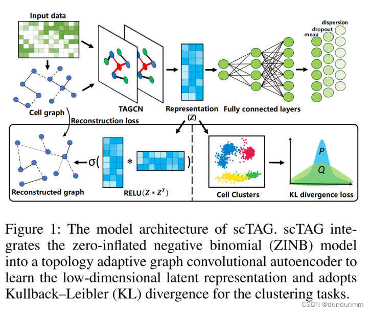 论文阅读:ZINB-Based Graph Embedding Autoencoder for Single-Cell RNA-Seq ...