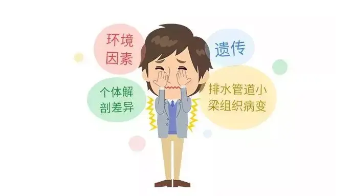 2530112-9912b6c61f8c1c5b.png