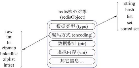 webp