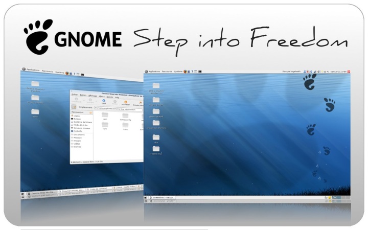 Step into Freedom