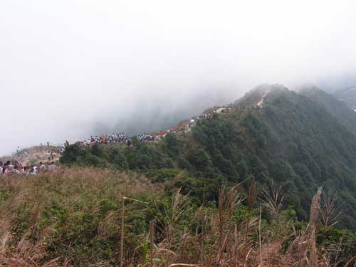梧桐山