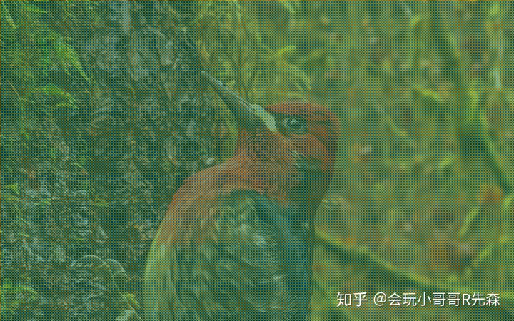 6933c078a1dc8c0cc2dc2c9ac4bd90b9.png