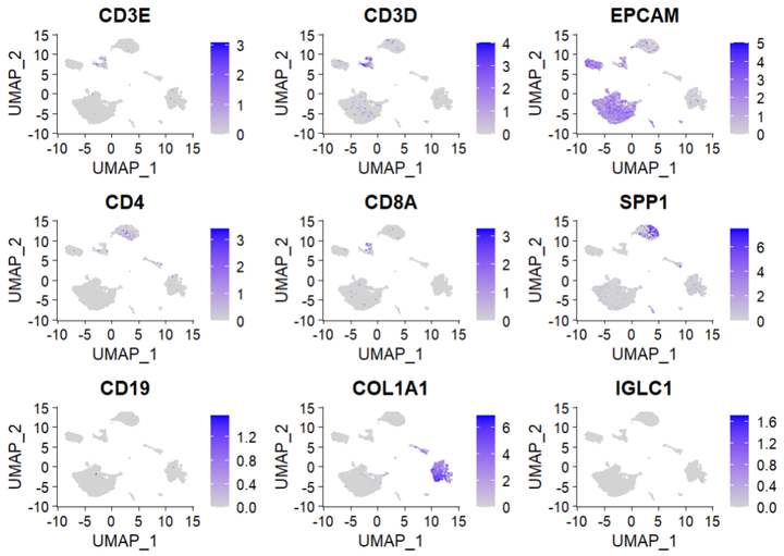 'cd4', 'cd8a','spp1', 'cd19', 'col1a1', 'iglc1')f