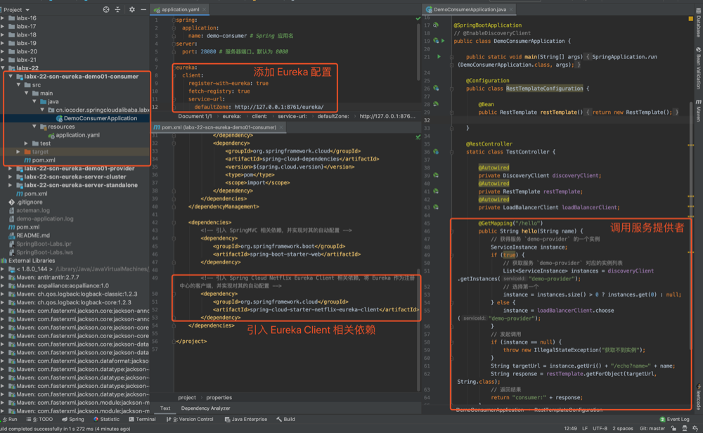 `demo-consumer` 项目 