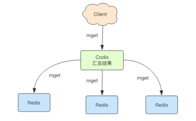Redis进阶实战来了！论Redis的集群应用，你还不懂的都在这里