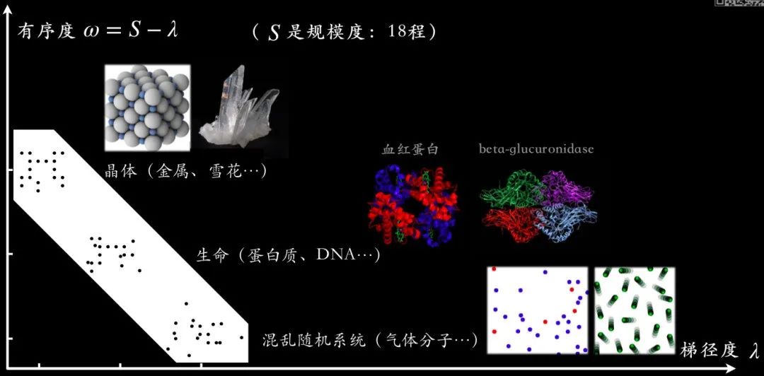 生命起源与复杂性 | 刘宇访谈-CSDN博客