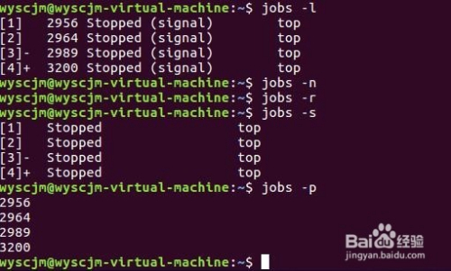 linux任务控制bg,fg,jobs,kill,wait,suspend...