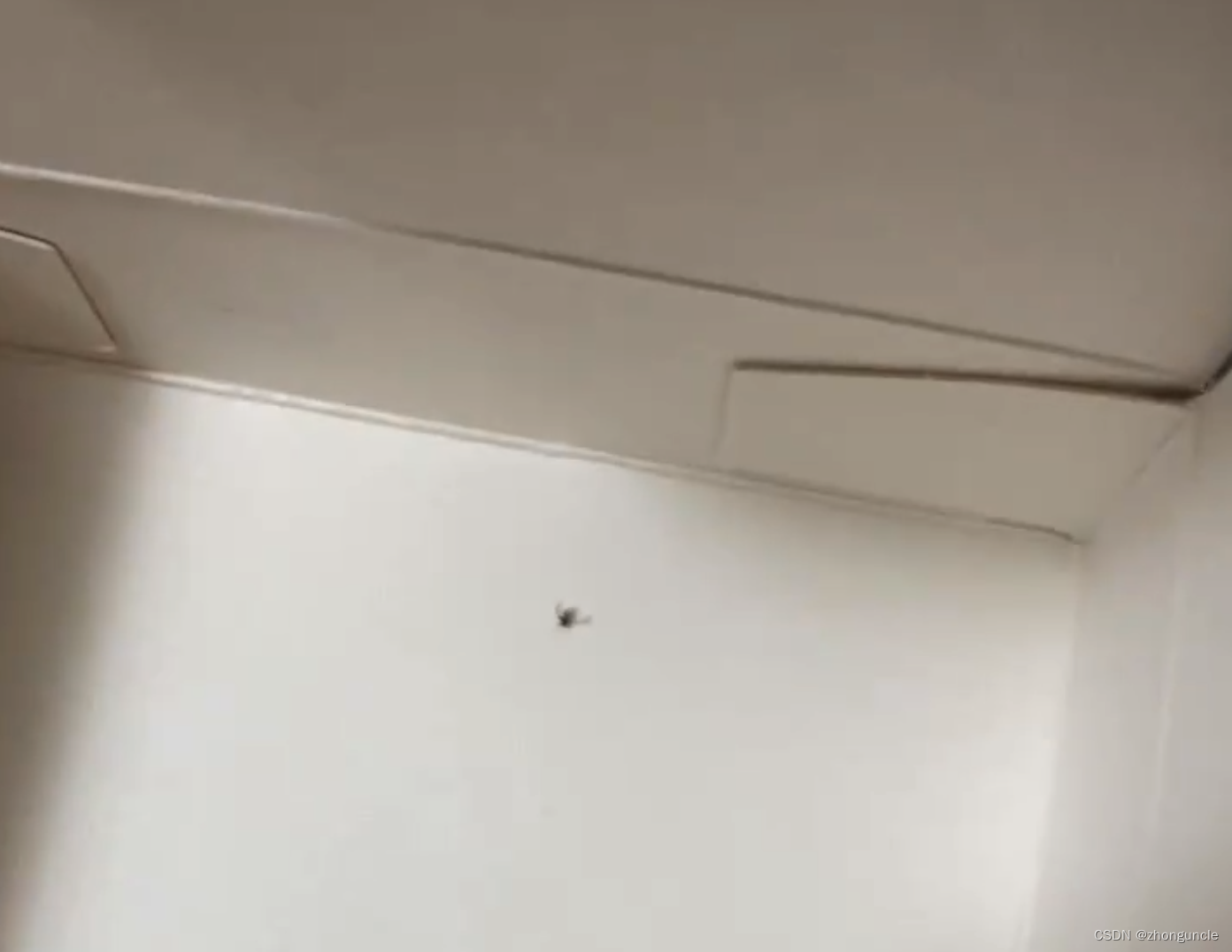 来自英国的bug
