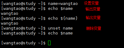 echo_unset