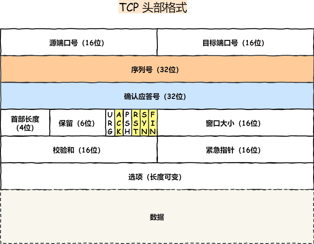tcp头