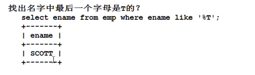 image-20220207115636344