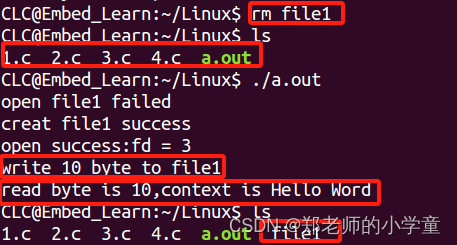 Linux文件操作——写入及读取