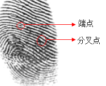 v2-cfa04a12161894b1d606c1e7855c422f_b.jpg