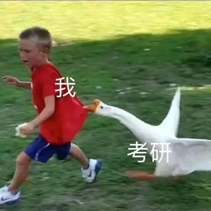 708adf3ea7646dee61028506ecafdf75.jpeg