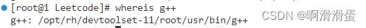 g++位置