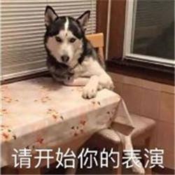 编程大神都在用的6个编程网站，一个月轻松学会编程，好用到不行