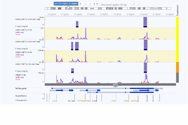 f615241935ff488a4200a5414cf0c9da.gif