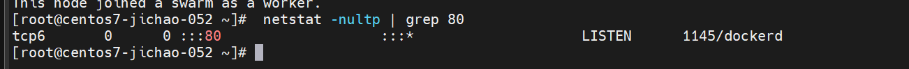 Day23-swarm _centos_09