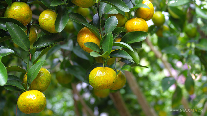 罗浮山自驾小结