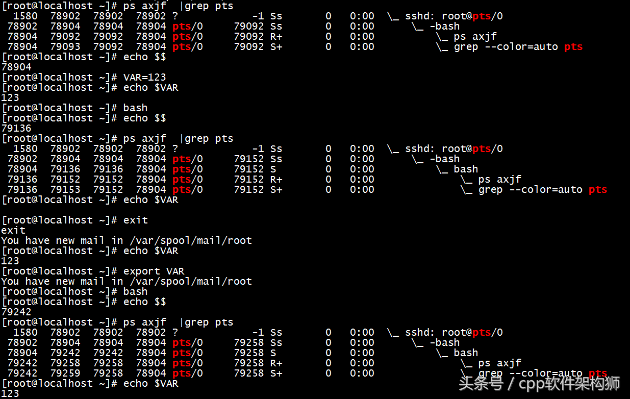 5分钟快速搞懂Shell基础知识