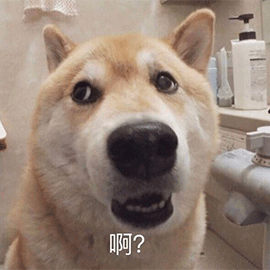 38d096fb1567a11b737ff7a08bc04fbe.png