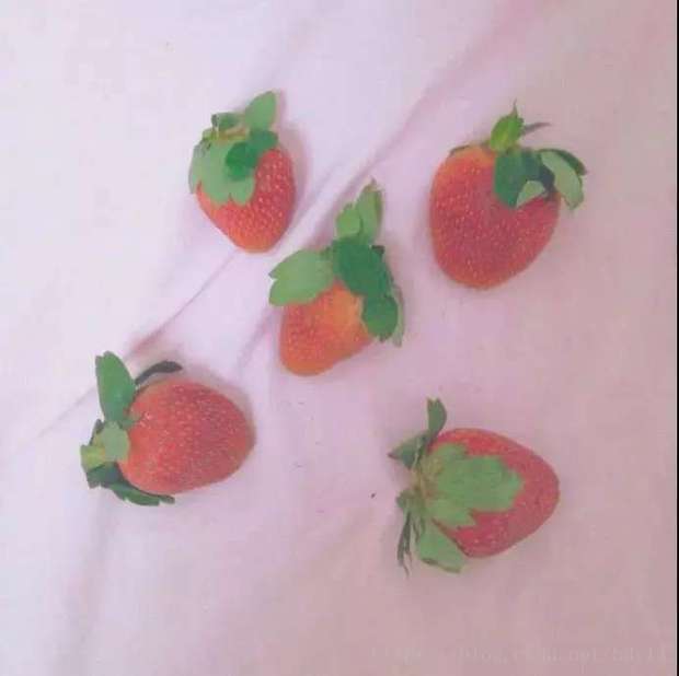 这里写图片描述