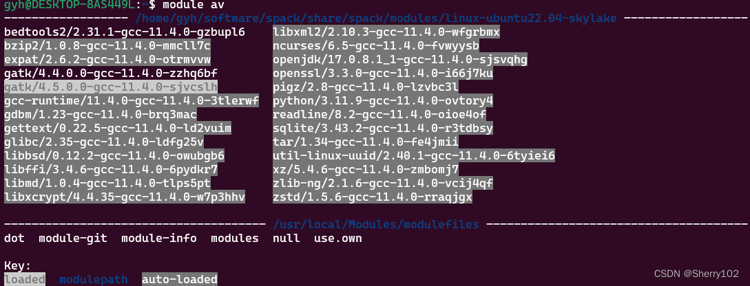 Environment Modules+Spack搭配使用，轻松安装各种软件