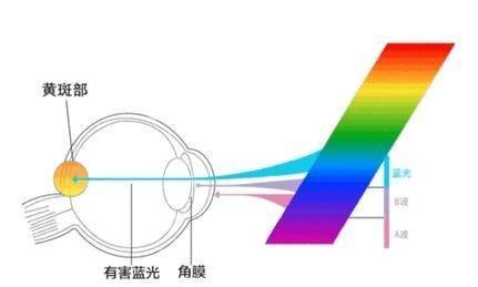 u=2108050445,1208295960&fm=173&app=49&f=JPEG?w=431&h=259&s=3884743349A0EE1D9D44D9C20300B0B0