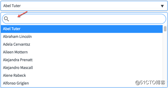 Service catalog variable attributes