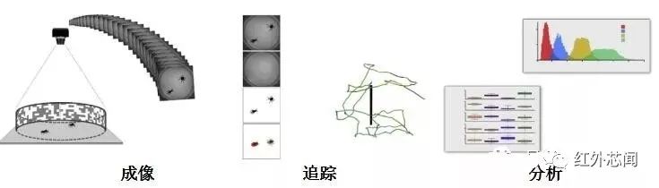 d2a8042ec89a51e4df3cfbaca58e30b8.png