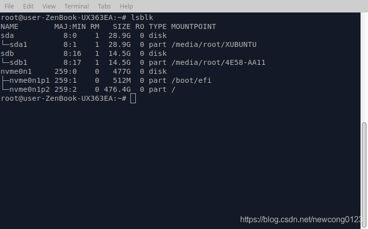 列出 Linux 系统里的块设备