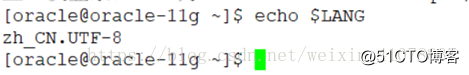 Linux/Centos解决安装oracle11g中文乱码的问题