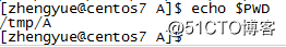 Linux环境变量