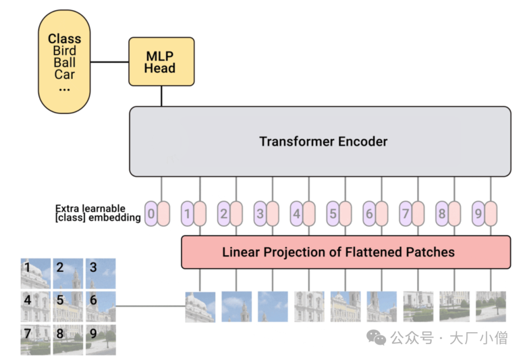 Vision Transformer 全面代码解析_vision transformer代码解读-CSDN博客