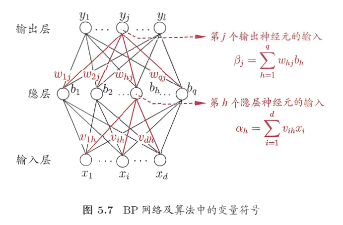 神经网络
