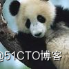 云上快速搭建Serverless AI实验室