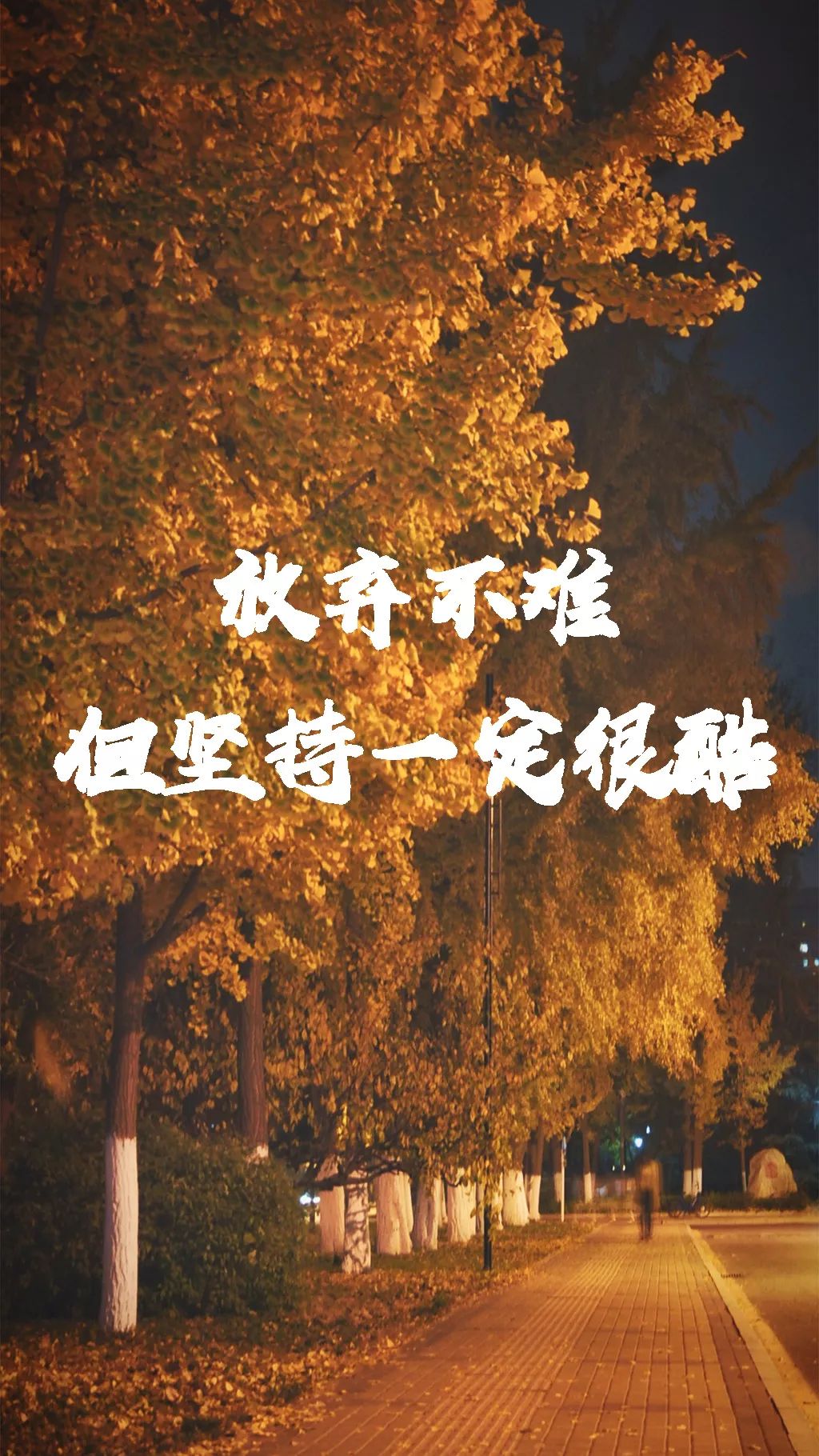 0e5062af7a3ff8bd6f147474881e8663.jpeg